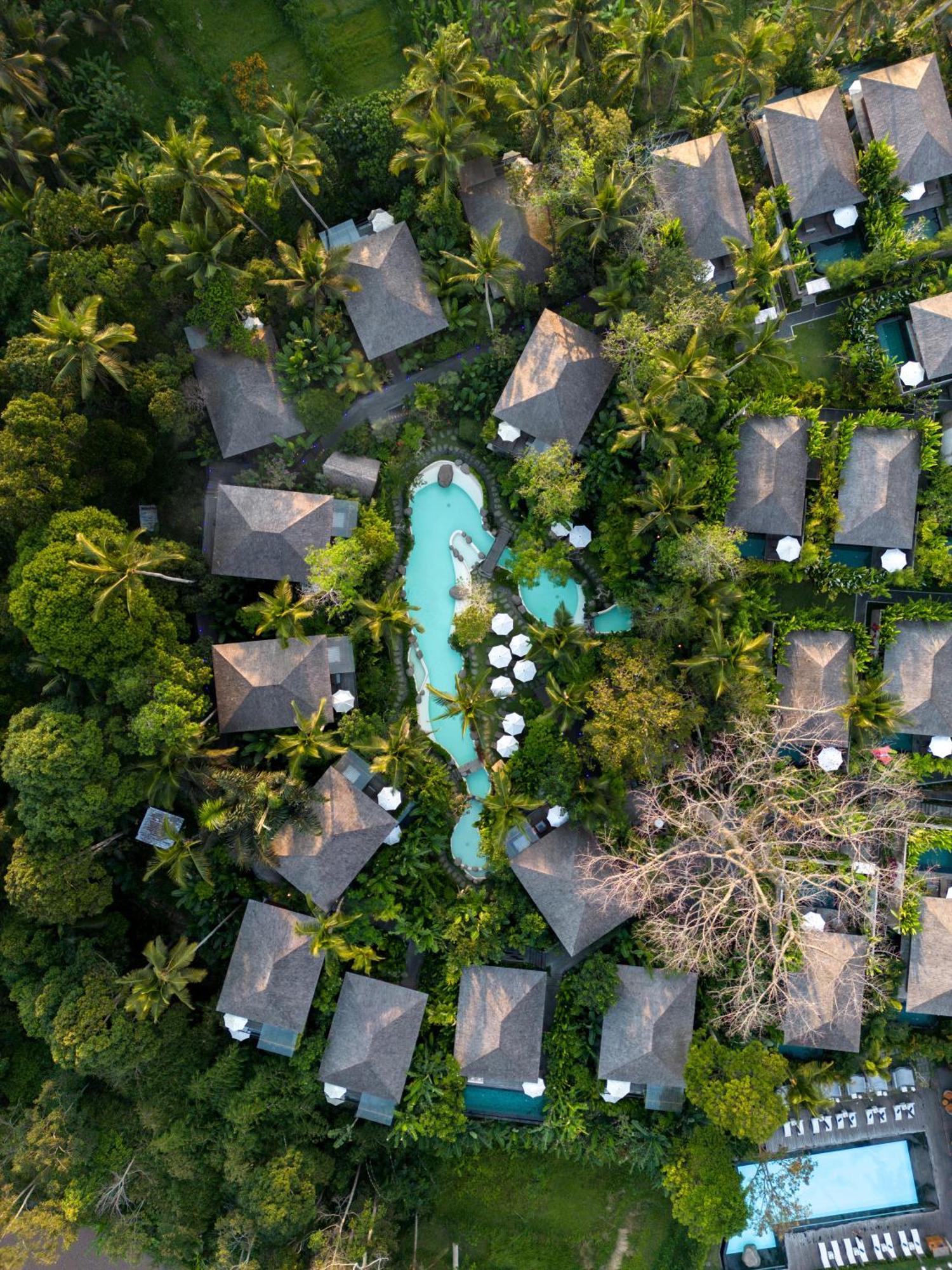 Kappa Senses Ubud